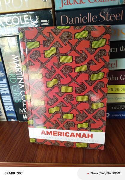 Intriguing African novels