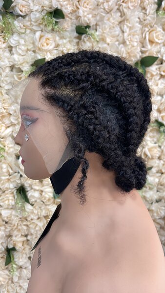 Lace Front Braided Wig