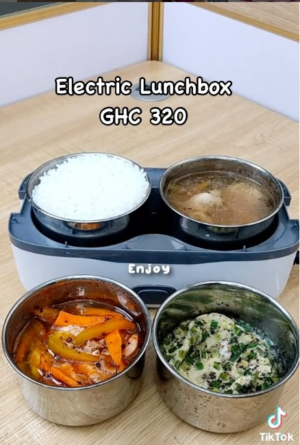 Electric lunchbox 
