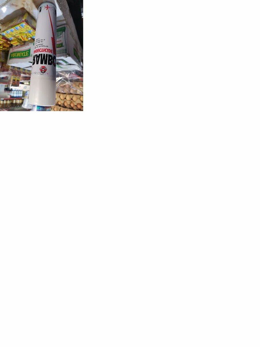 Bombe Insecticide 300ml