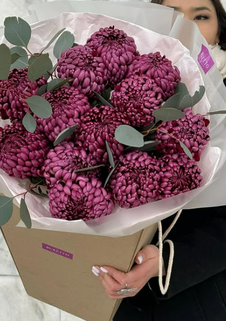 Винные хризантемы