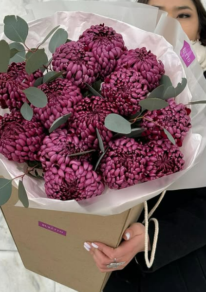 Винные хризантемы