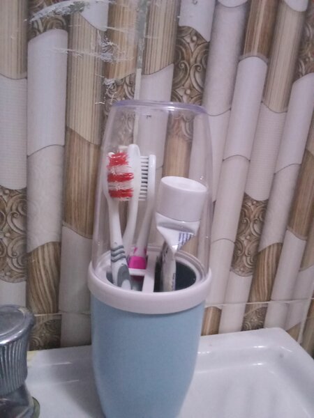 Protège à brosses à dents