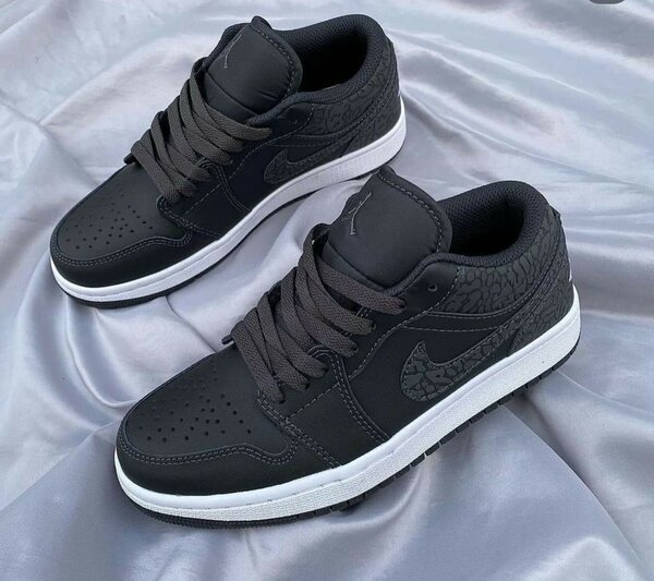 Jordan 1 Low dunk