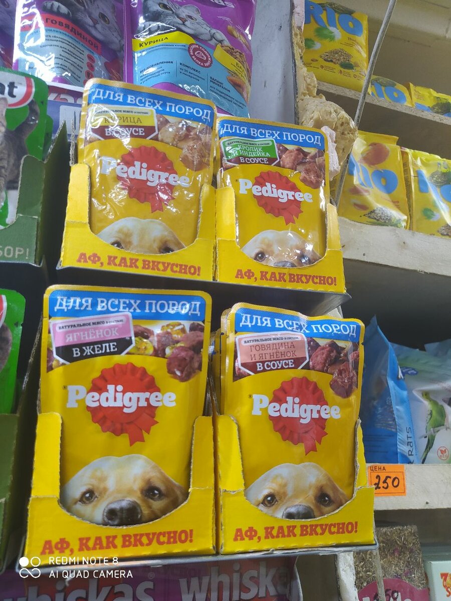 Влажный корм для собак