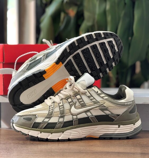 Chaussures Nike p6000