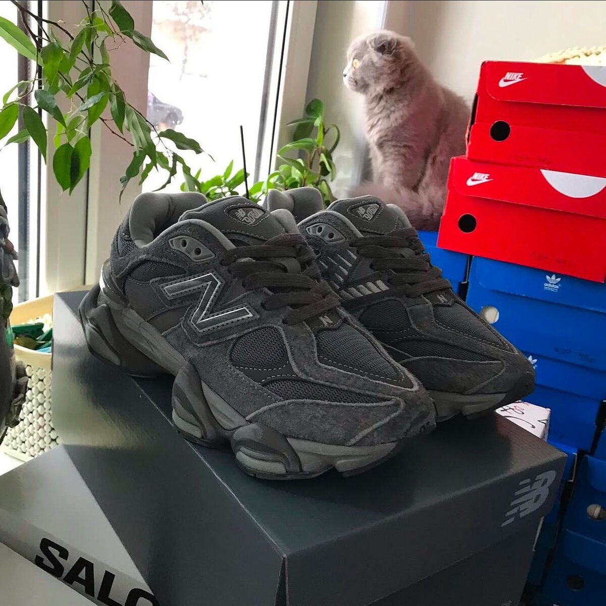 Sneakers