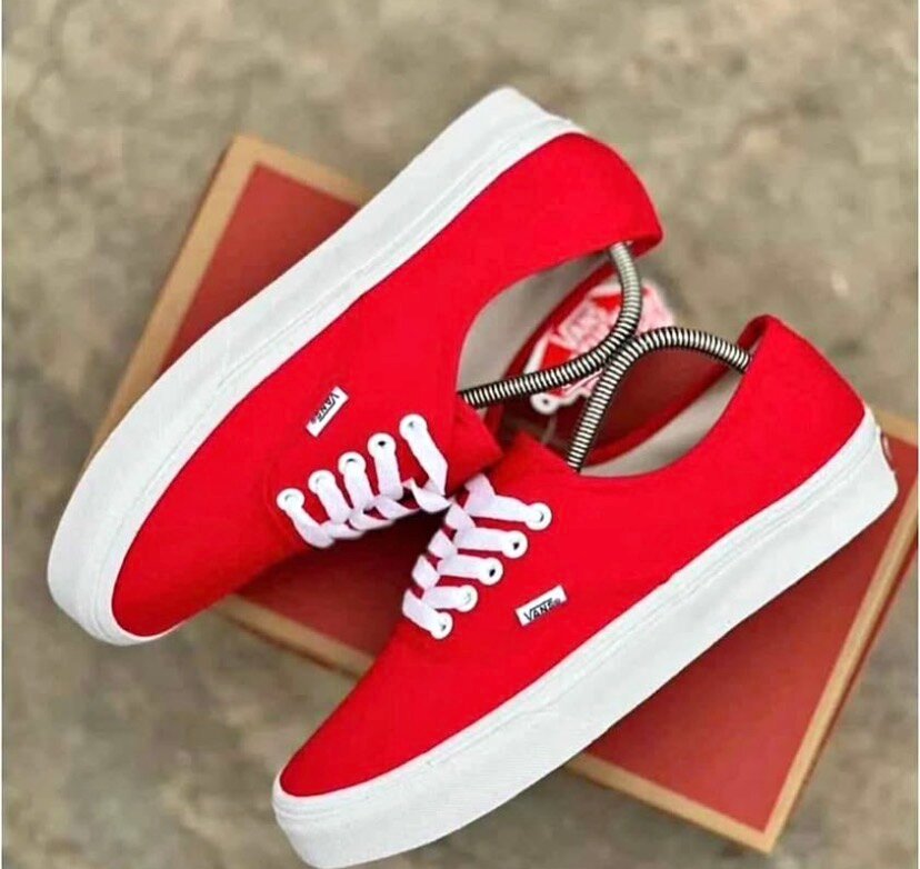 Vans Authentiques en toile