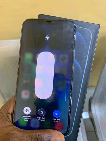 iPhone 12 Pro Max 256 Go