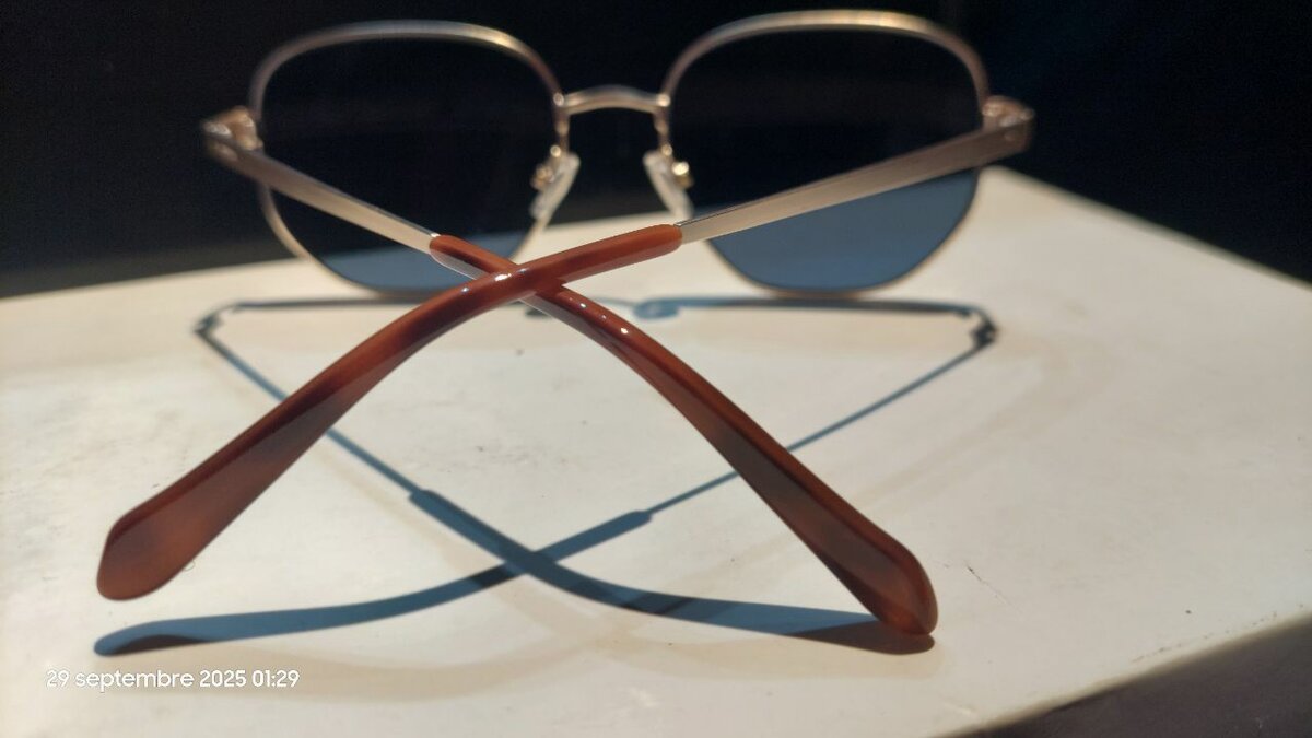 Lunettes de soleil élégantes