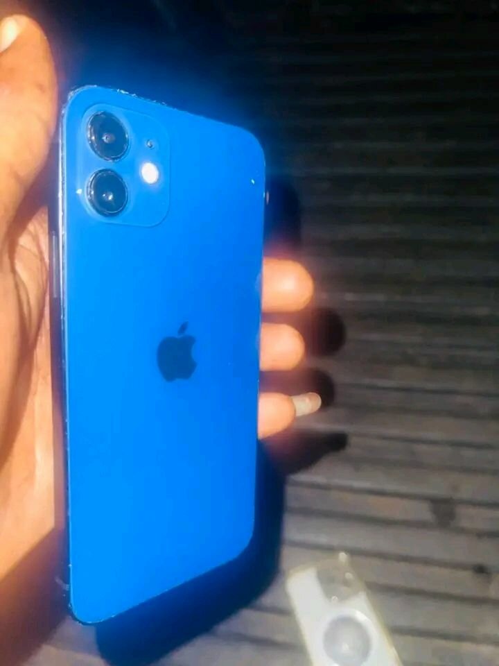 iPhone 12 Bleu Elegant