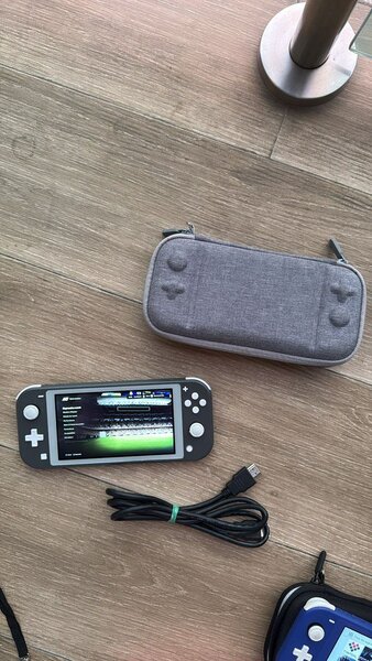 Nintendo Switch Lite craquée + 15 jeux + Pochette en promo