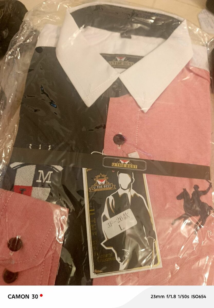 Chemise élégante à manches longues