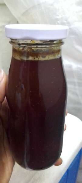 Miel biologique en flacon