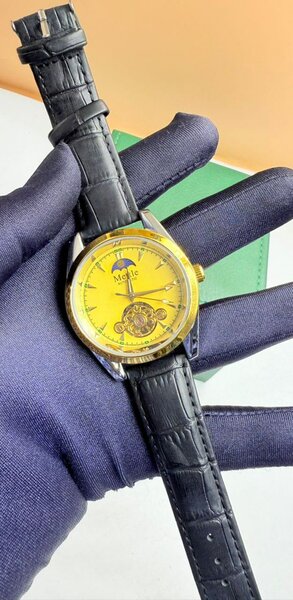 Montre automatique homme élégante