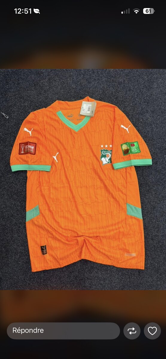 Maillot Côte d'Ivoire Puma
