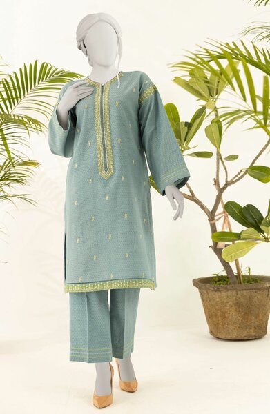 Ladies Stitched suit
