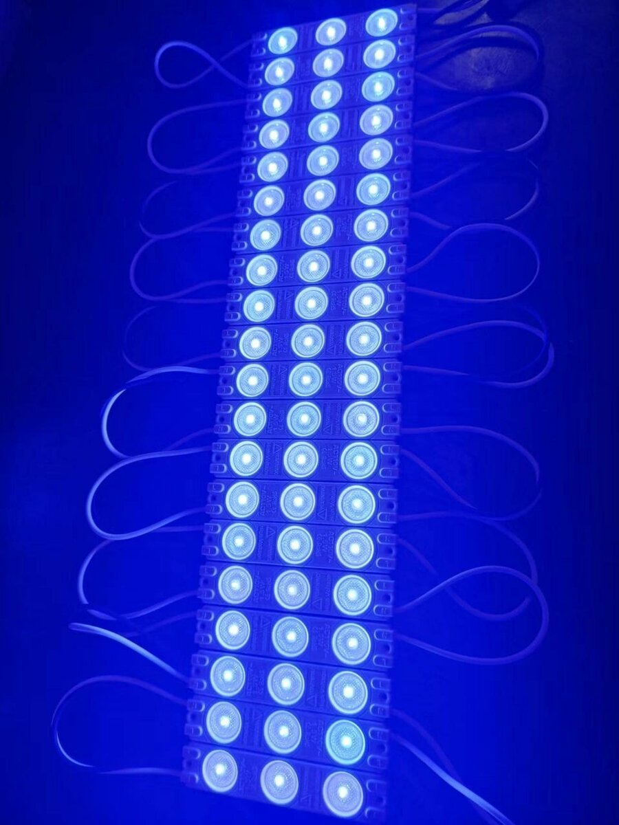 LED Module 1.5w 12V bleu 200pc
