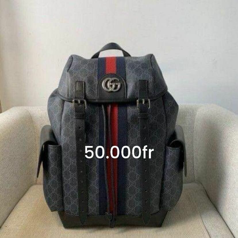 Sac à dos de luxe élégant