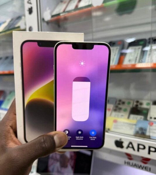 iPhone 13 blanc