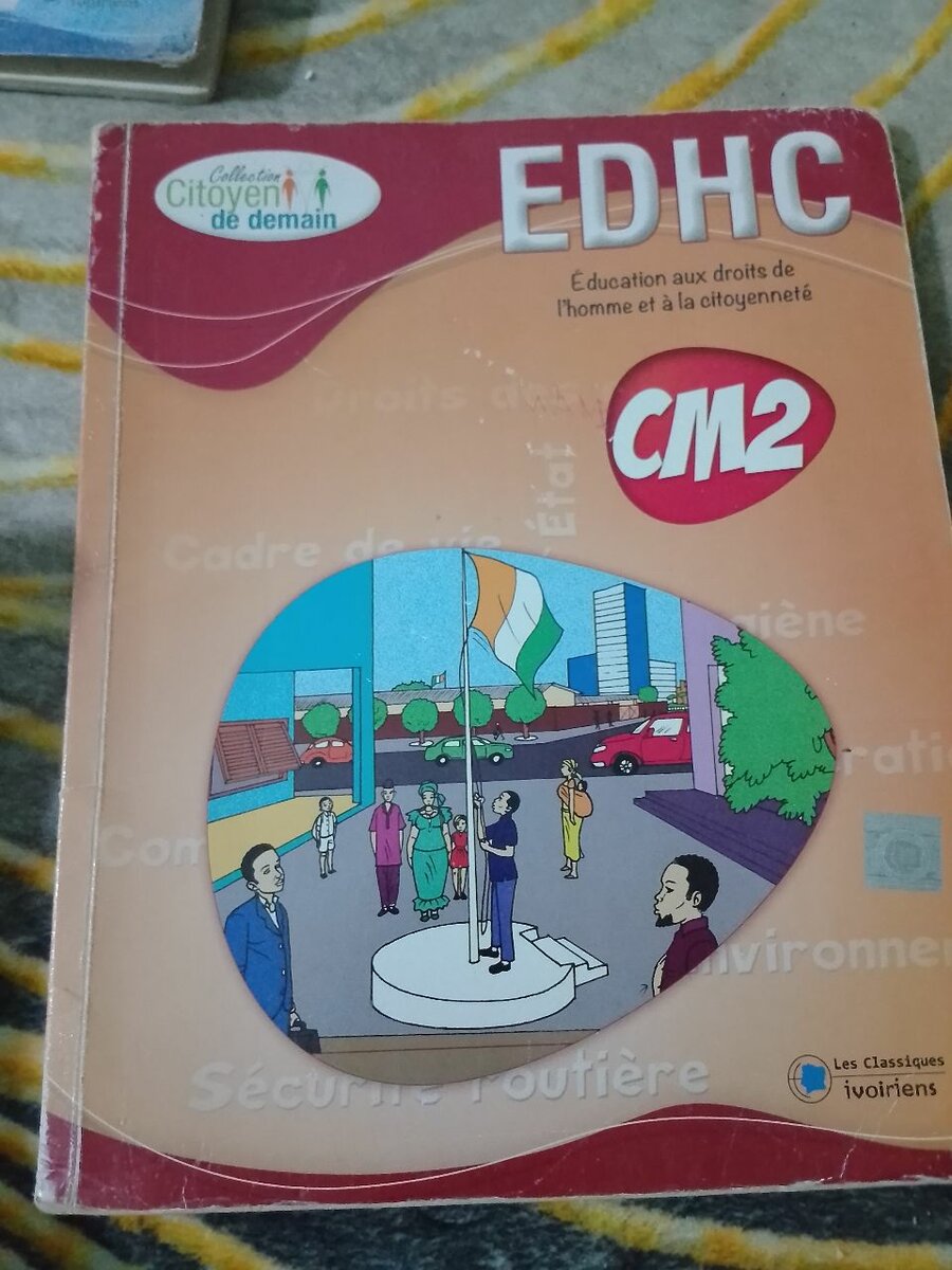 Livres scolaires CM et CE