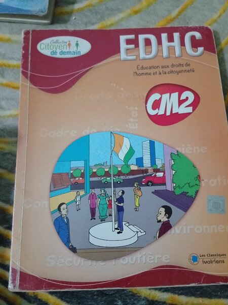 Livres scolaires CM et CE