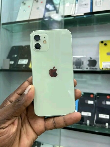 iPhone 12 Vert