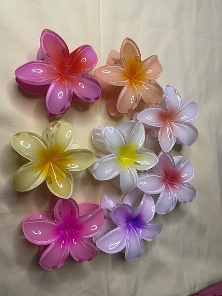 Pinces à cheveux fleur colorées