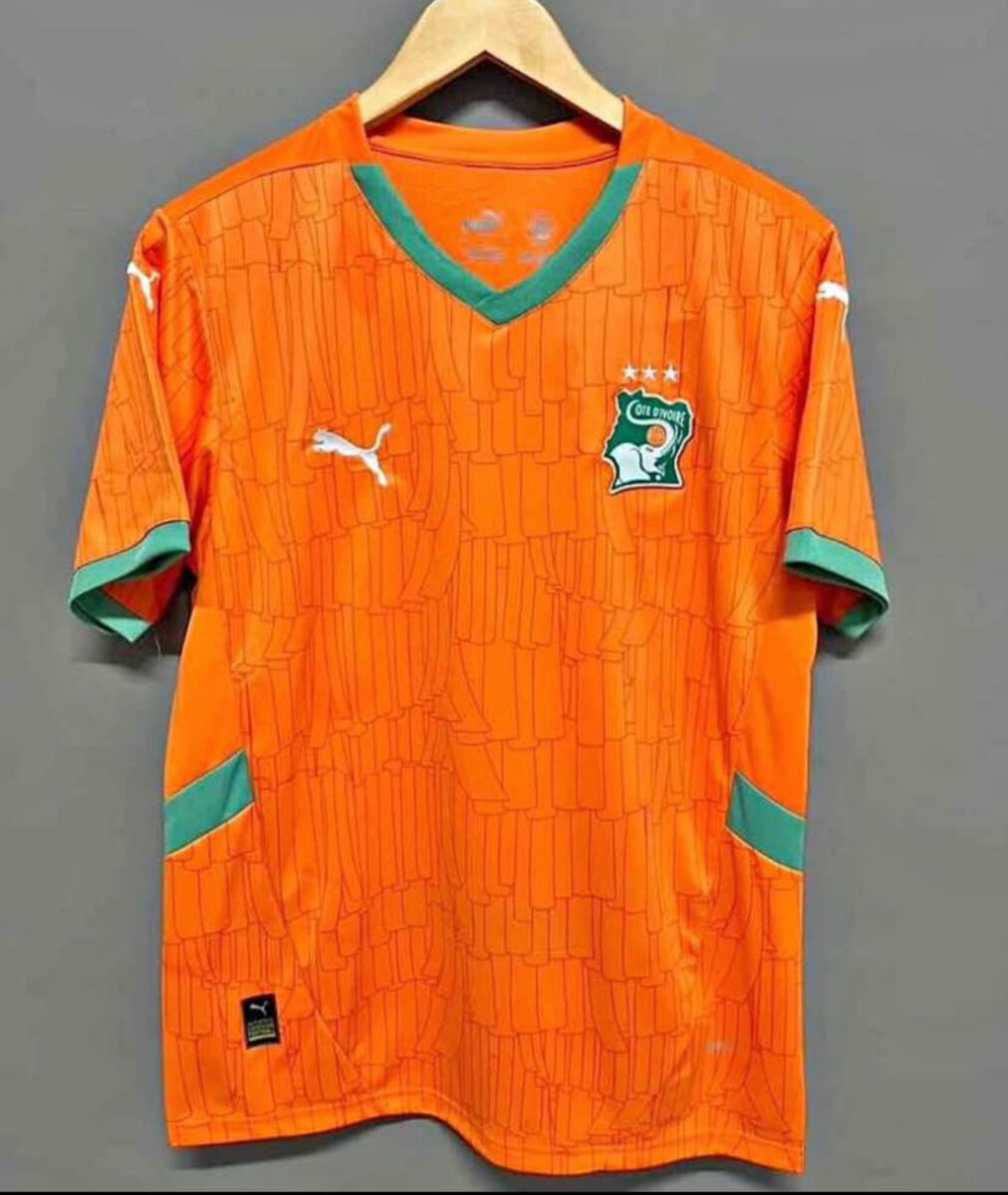 Maillot Équipe Football Puma