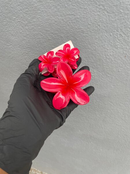 Pinces à cheveux fleurs colorées