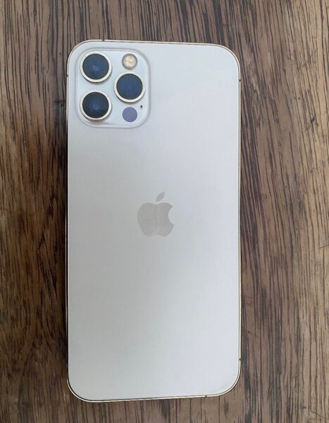 iPhone 14 Pro Max or