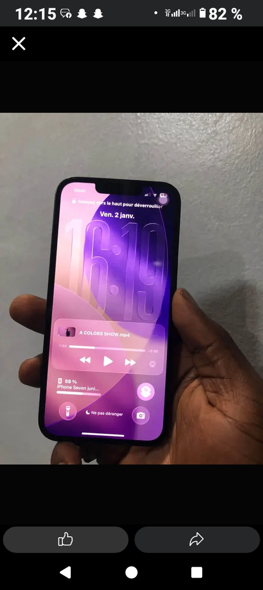 iPhone Pro Max 256Go