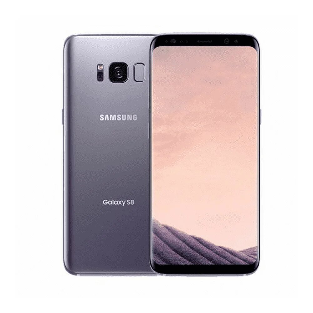 Samsung Galaxy S8+ Smartphone