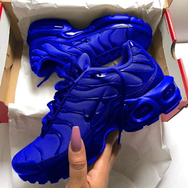 Chaussures Nike TN bleu