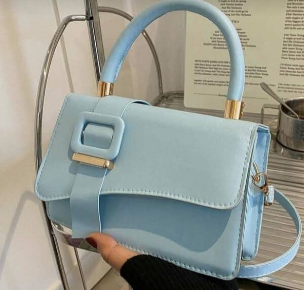 ladies bag