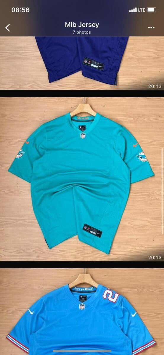 Miami Dolphins USA American football team