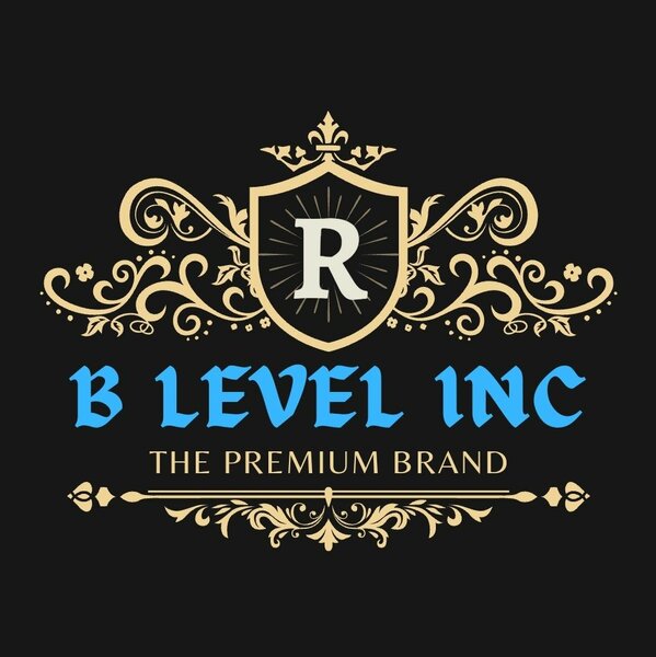 B LEVEL INC