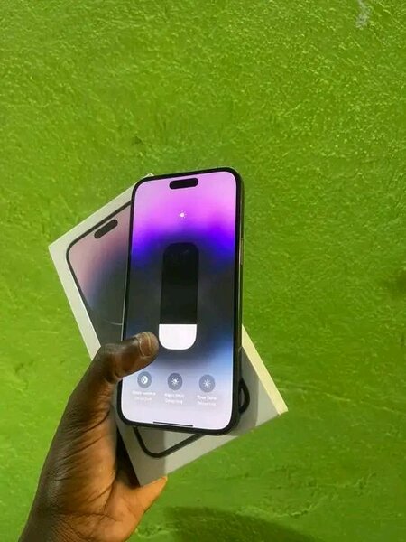 iPhone Pro Max 256 Go