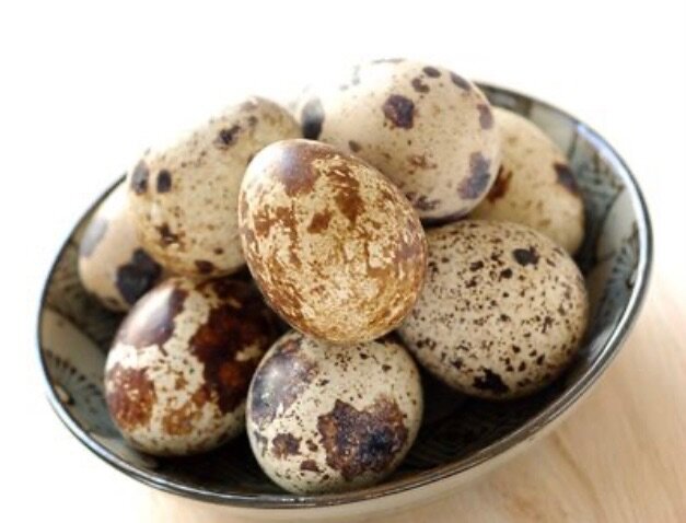 Œufs de caille frais