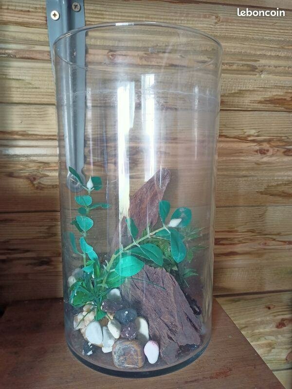 Verres à Eau en Cristal