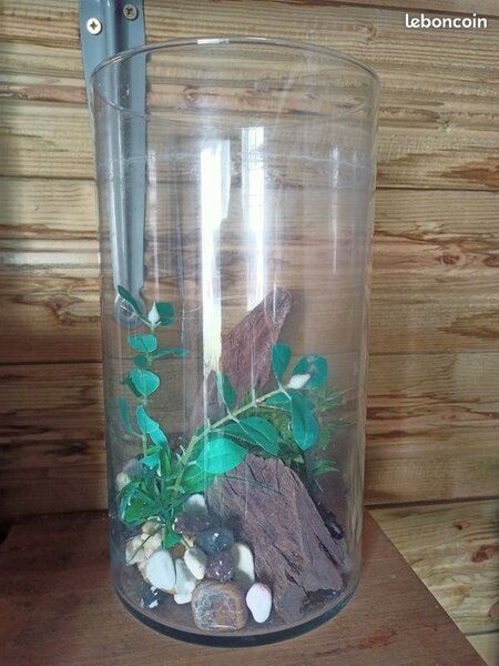 Verres à Eau en Cristal