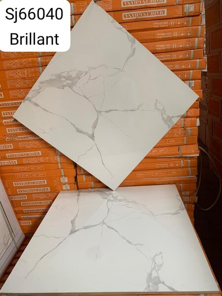 Carrelage Marbre Brillant