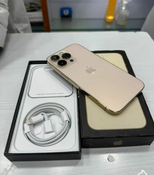 iPhone 13 Pro Max Or 256 Go