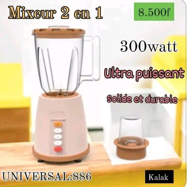 Mixeur 2 en 1 300W - Puissant et Durable
