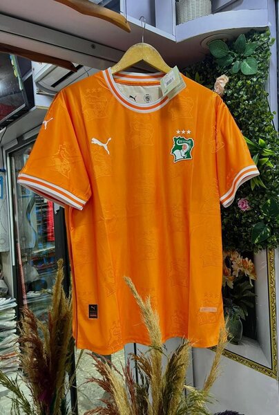 Maillot Côte d'Ivoire Puma