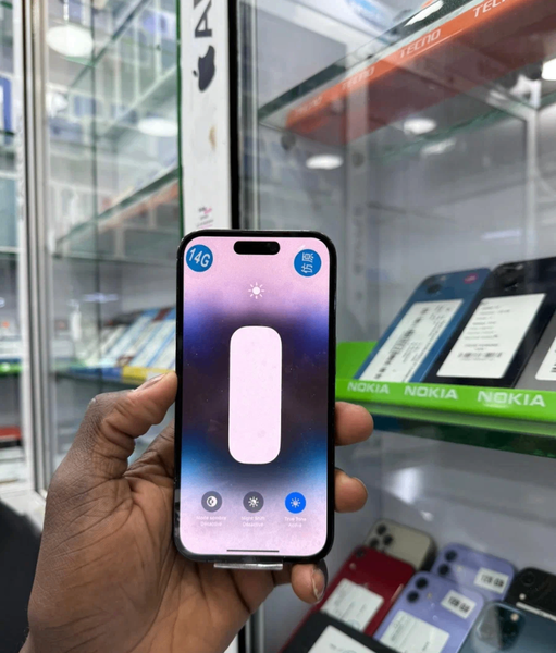 iPhone 256 Go Gris Pro Max