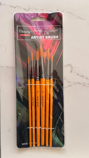 Brosses de Peinture Artiste Set