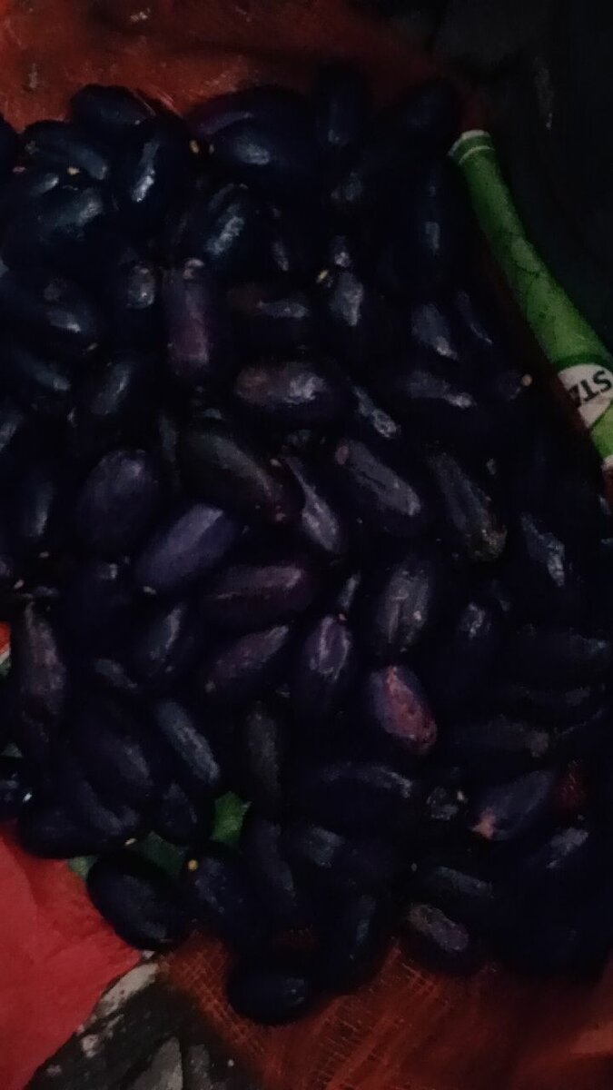 Prunes Noires Sélectionnées