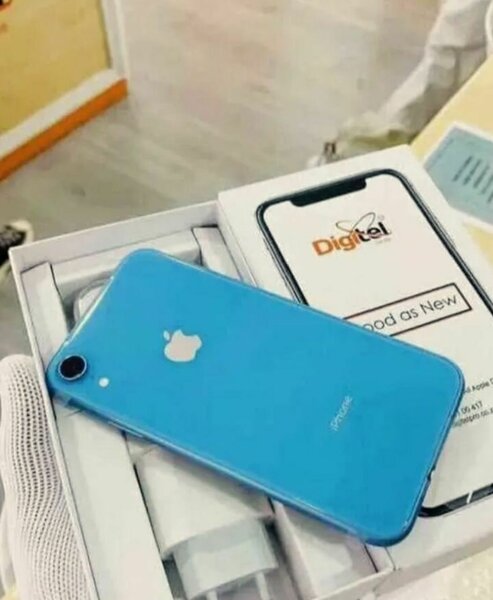 iPhone XR Bleu
