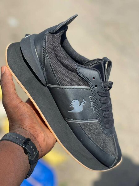 Coq sportif